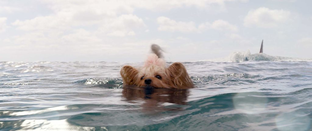 Pippin the Dog Tries to Escape from The Meg. IMDb.com